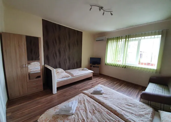 Ladik Vendeghaz 3* Tiszafüred